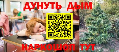 прущие грибы Жуковский