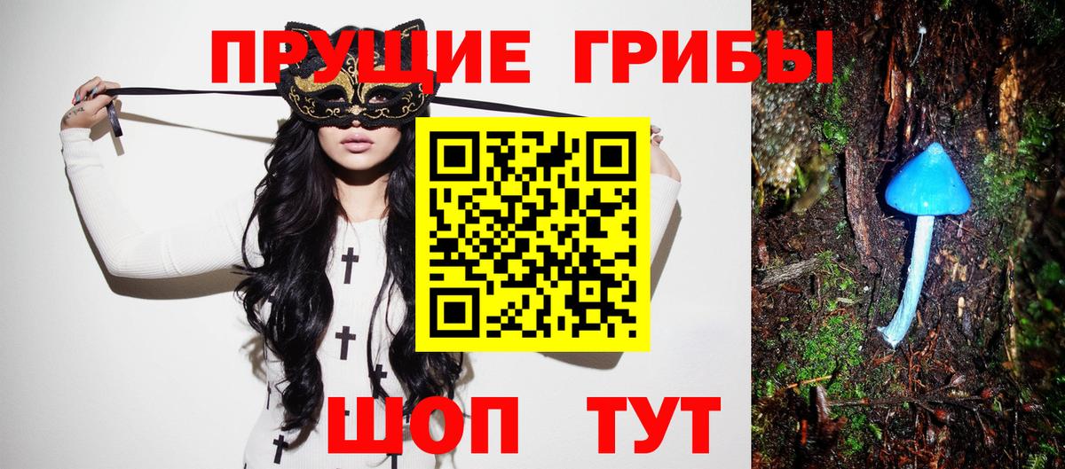 Галлюциногенные грибы прущие грибы  Вход с VPN  Псилоцибиновые грибы мицелий  Иркутск 